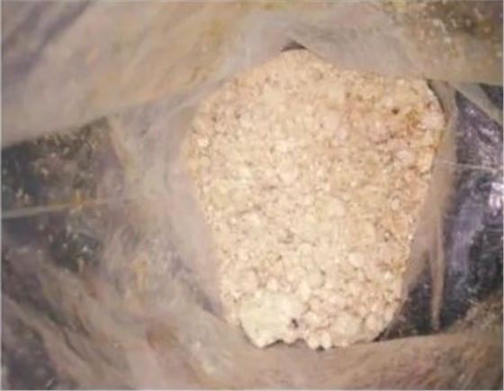 RTO爐白色結晶物